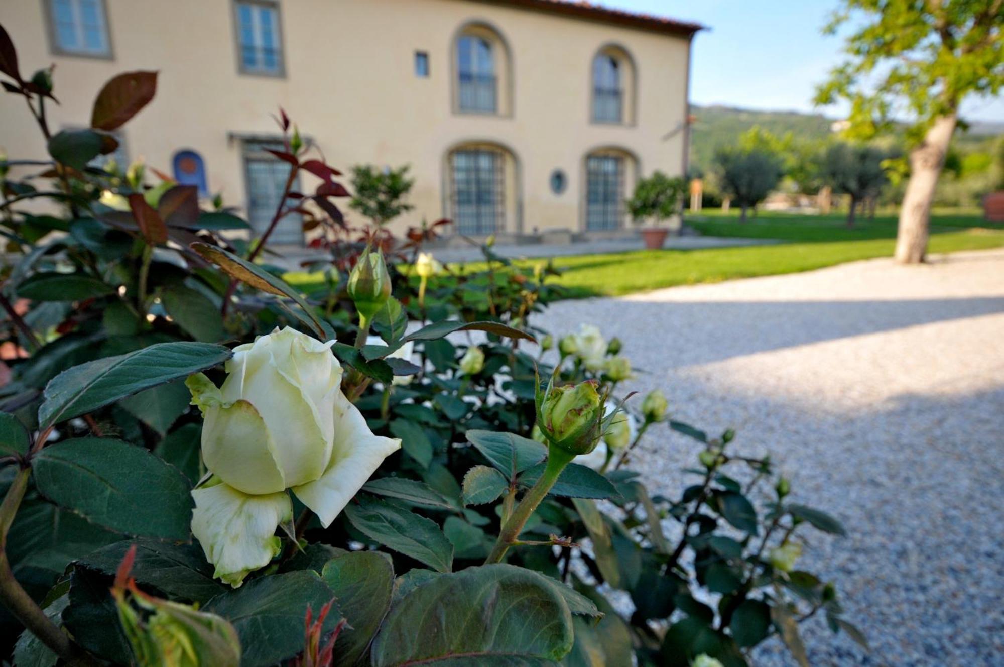Agriturismo San Rocco ピストイア エクステリア 写真