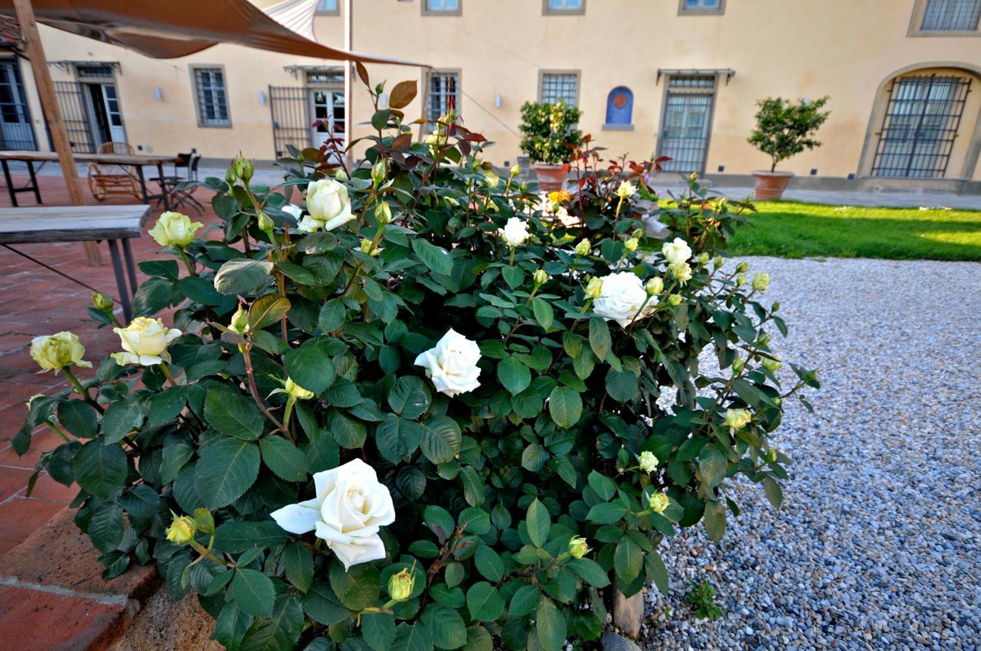 Agriturismo San Rocco ピストイア エクステリア 写真
