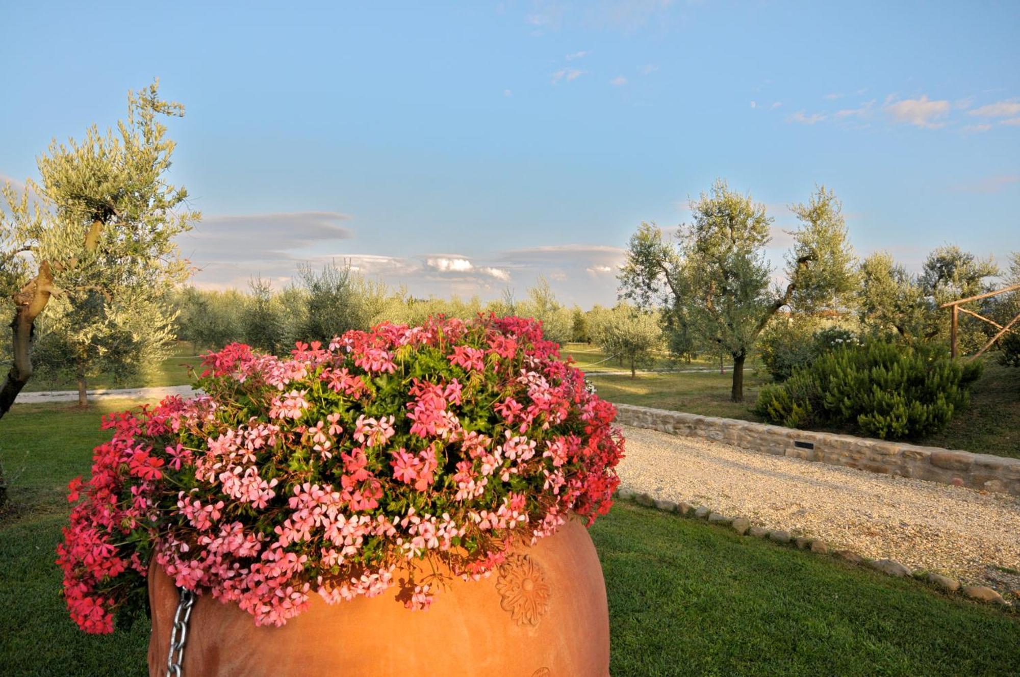 Agriturismo San Rocco ピストイア エクステリア 写真